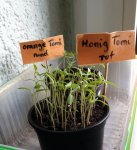 20170402_160450.jpg