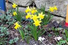 100_3727.webp