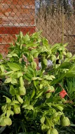 20170331_165958.webp