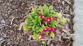 20170325_154606.jpg
