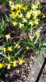 April 071.webp