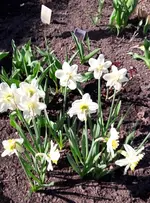 April 076.webp