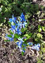 April 075.webp
