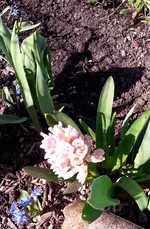 April 078.webp