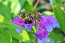 DSCF8639 (2).webp