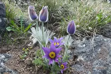 DSCF8684.webp