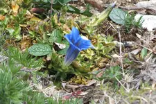 DSCF8689.JPG