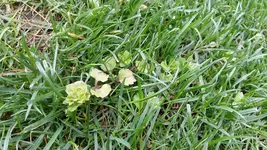20170402_172836.jpg