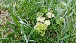 20170402_172839.jpg