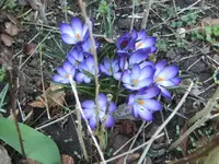 BILD6290.webp