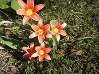 BILD6292.webp