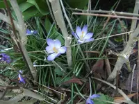 BILD6291.webp