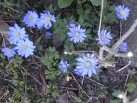 BILD6312.webp