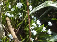 BILD6294.webp