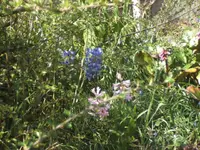 BILD6307.webp