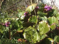 BILD6308.webp