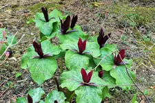 DSCF8661 (2).webp