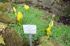 DSCF8669.webp
