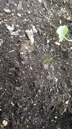 17806732_102128127730kdutu.webp