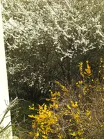 BILD6295.webp