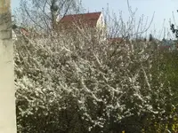 BILD6296.webp
