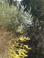 BILD6297.webp