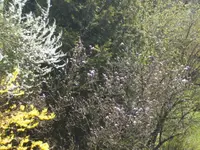 BILD6301.webp