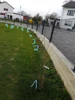 20170401_183740_LI.jpg