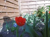P1000542.webp