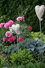 Pfingstrosen0907.webp