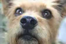 400_3031316334616339.webp