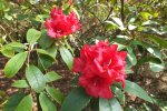 DSCF8654.JPG