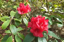 DSCF8654.webp