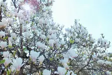 DSCF8641 (2).webp