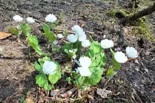 DSCF8658 (2).webp