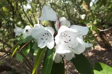 DSCF8664.webp