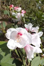 DSCF8665 (2).webp