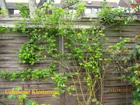 IMG_7552.webp