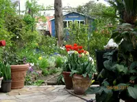 IMG_7554.webp