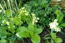 2017_04052017april0002.webp