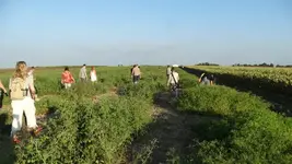 DSC07743.png