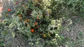 DSC07729 (1).webp