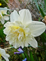 P1130500.webp