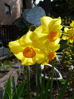 P1130502.webp