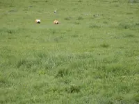 DSCN6381.webp