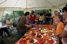 Irinas Tomatenfest0407.webp