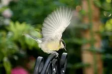 IMG_9037-001 bonifatius.webp