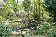 DSCF8652 (2).webp