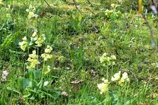 DSCF8646 (2).webp