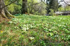 DSCF8645 (2).webp